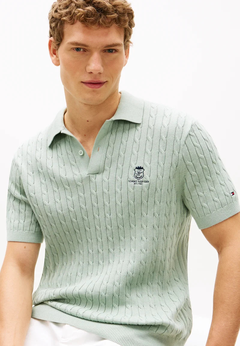 Tommy Hilfiger Polo Regular Azul Acinzentado