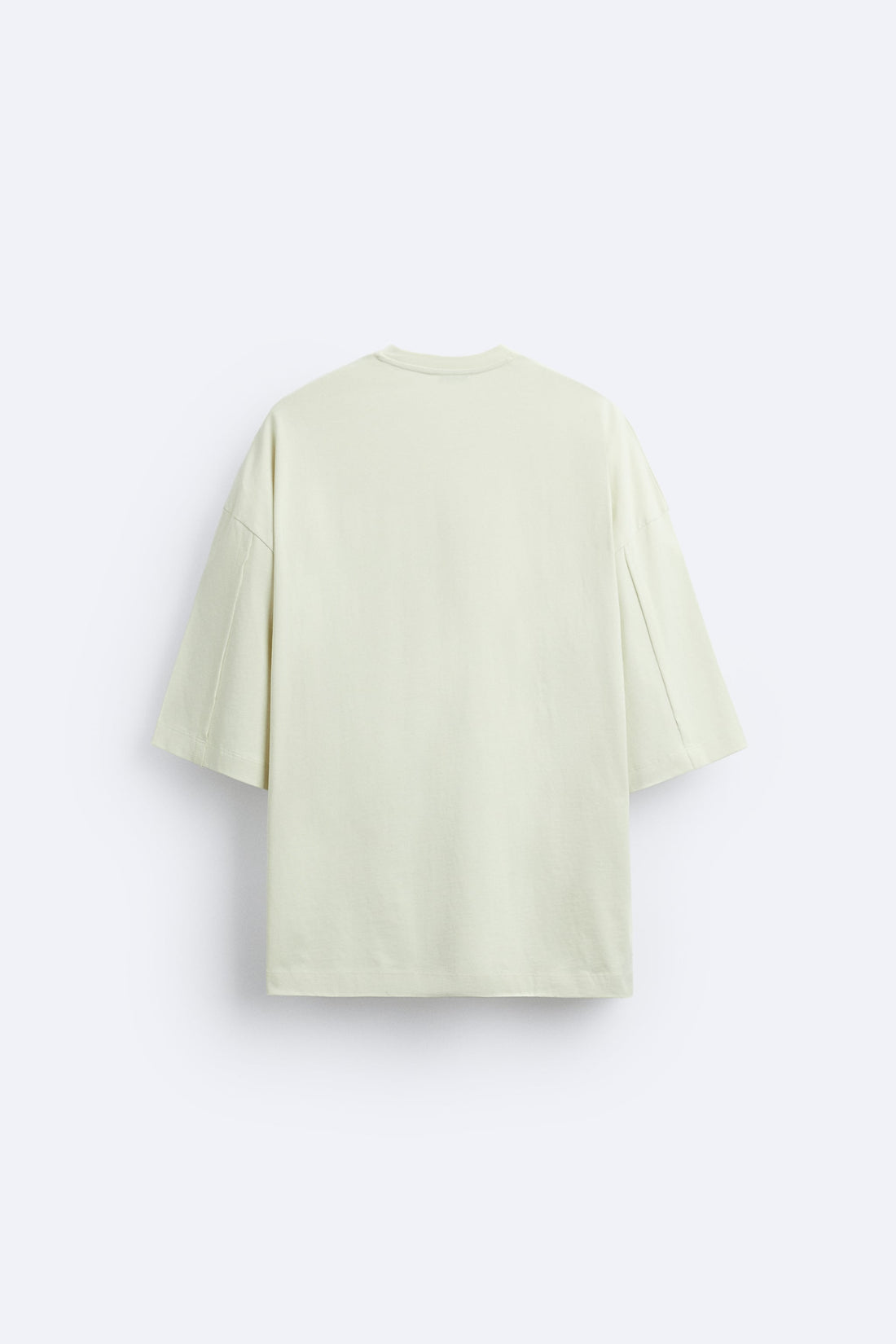 Zara T-Shirt Oversized Bordada